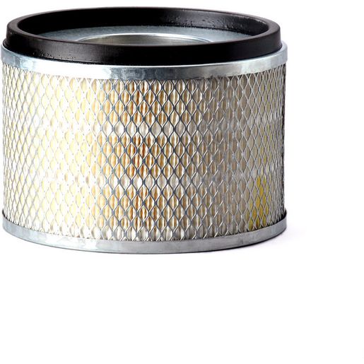 Donaldson Air Filter P181125