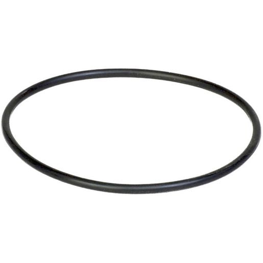 Donaldson O Ring P160137