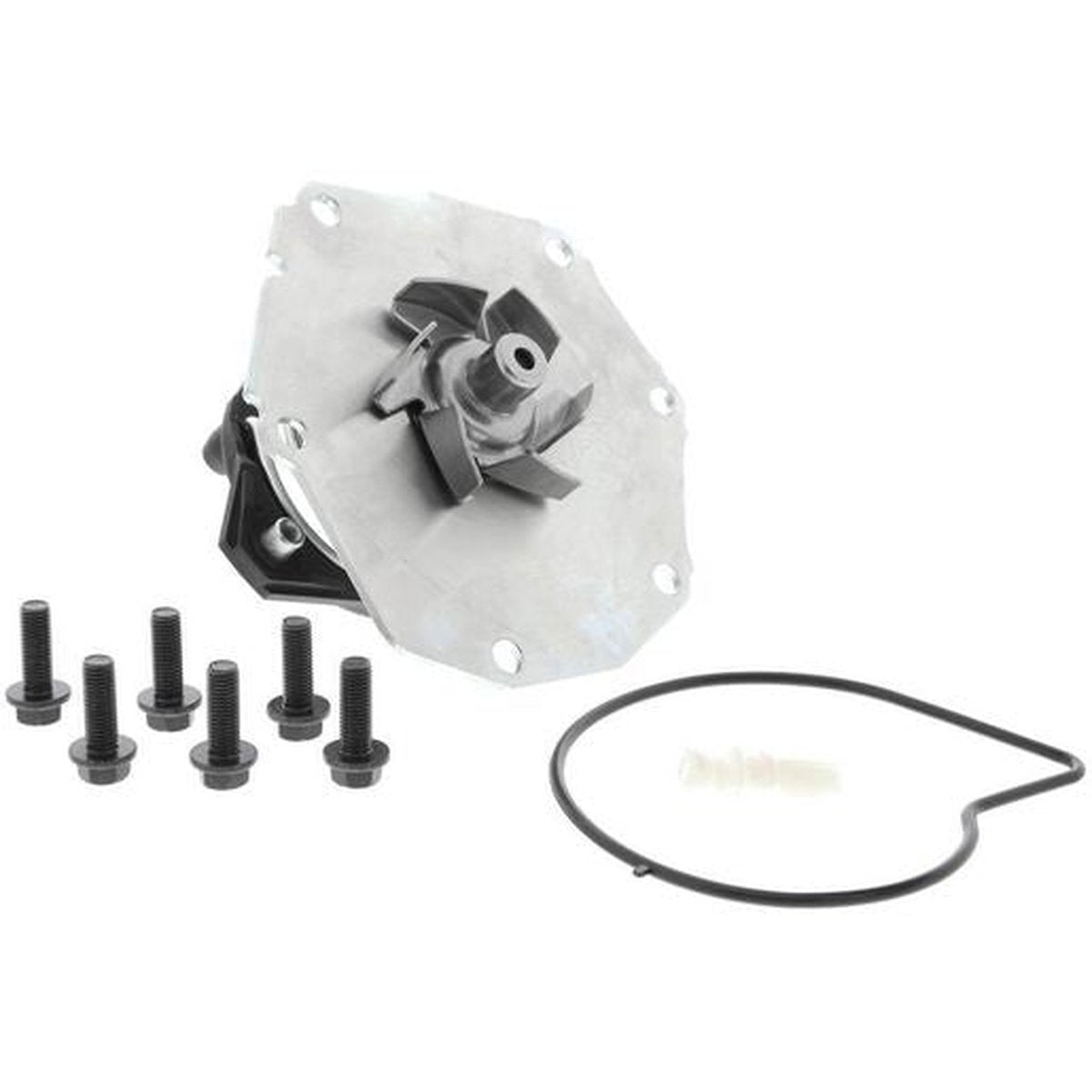 VAICO Water Pump V48-50004