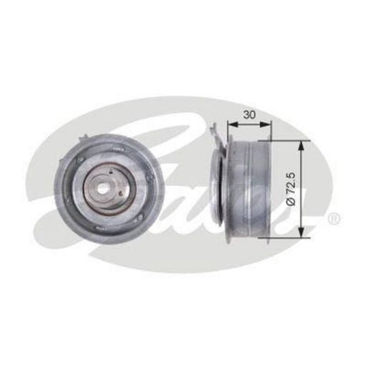 Gates Timing Belt Tensioner T43010