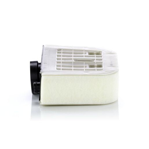 MANN Air Filter C38011