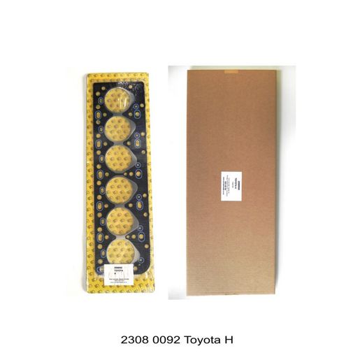 Kiwi Gasket Head Set 23080092