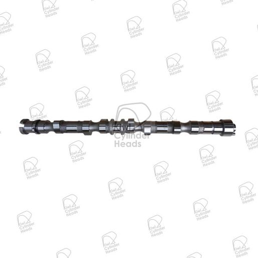 Kiwi Camshaft 50020307