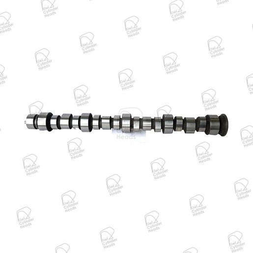 Kiwi Camshaft 50040123