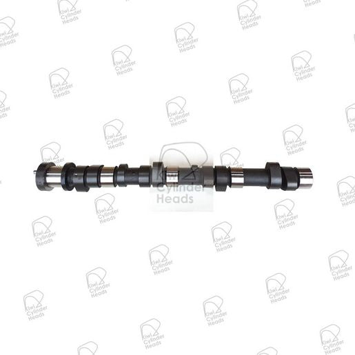 Kiwi Camshaft 50040133