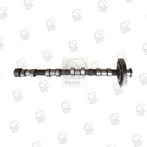 Kiwi Camshaft Exhaust 50040155