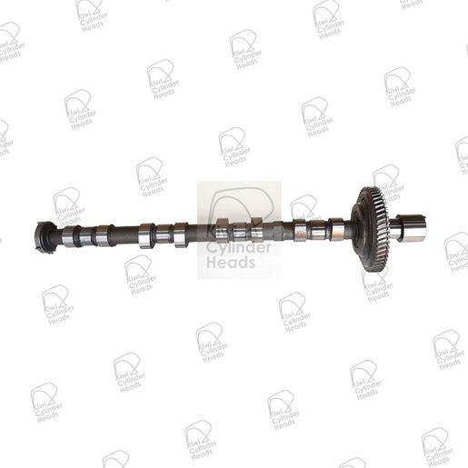 Kiwi Camshaft Inlet 50040378