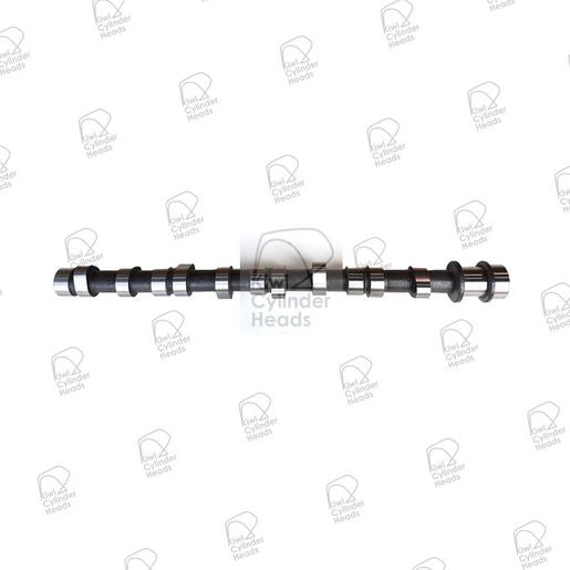 Kiwi Camshaft 50043028