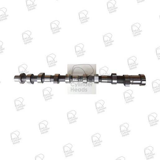 Kiwi Camshaft 50060070