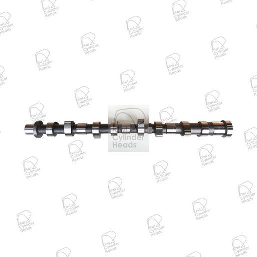 Kiwi Camshaft 50060072