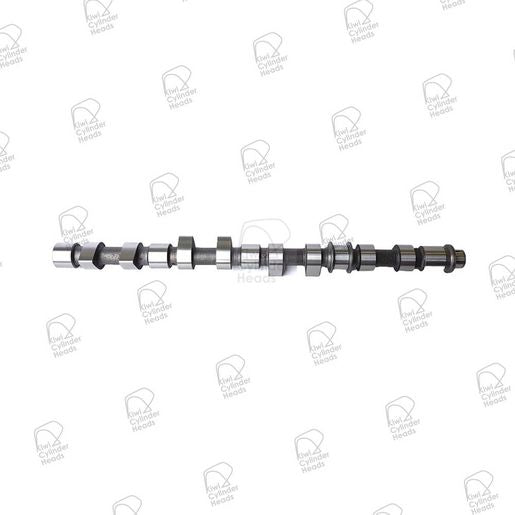 Kiwi Camshaft 50060148