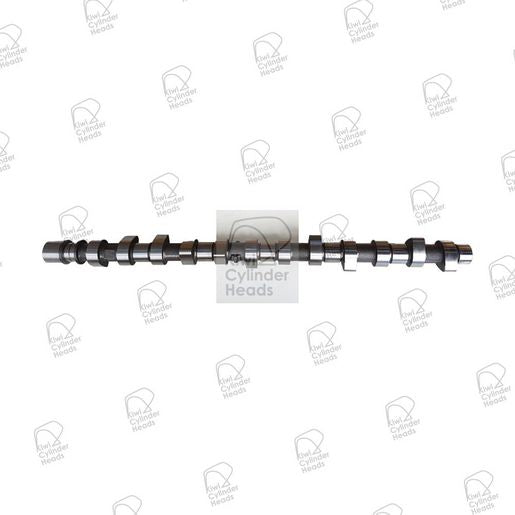 Kiwi Camshaft 50060317