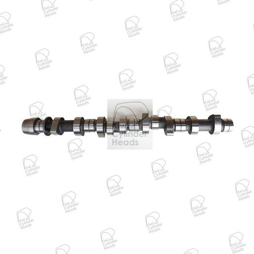 Kiwi Camshaft 50080031