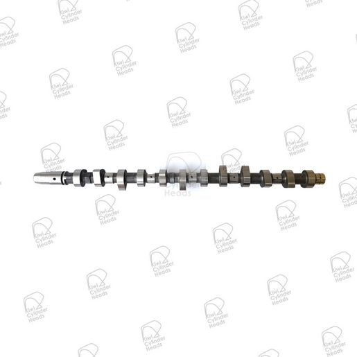 Kiwi Camshaft 50080047