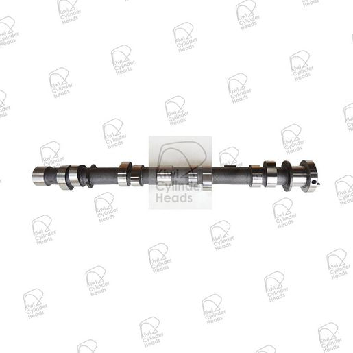 Kiwi Camshaft 50080134