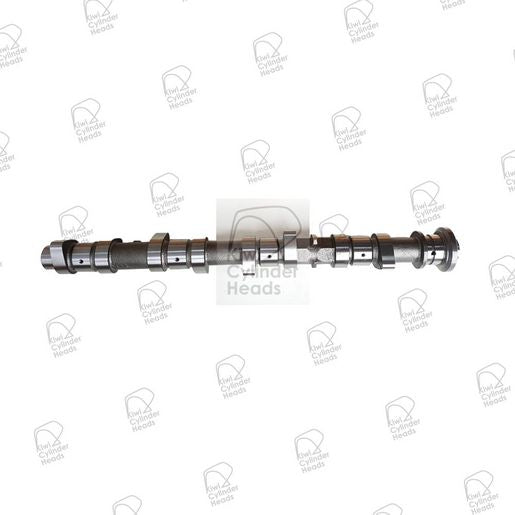 Kiwi Camshaft 50080144