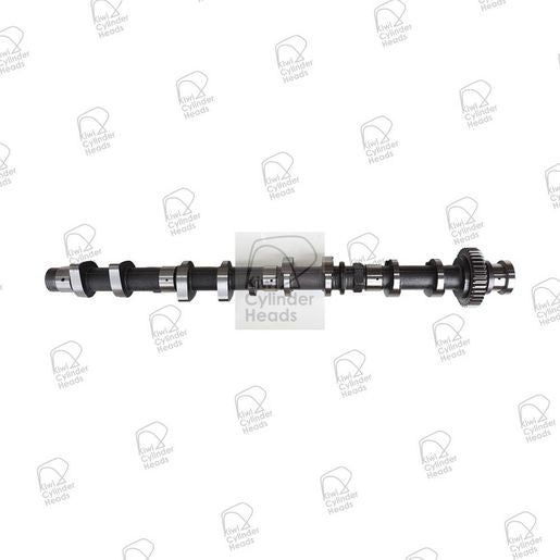 Kiwi Camshaft Exhaust 50080145