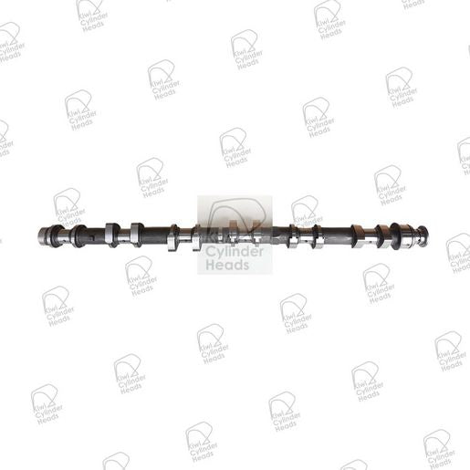 Kiwi Camshaft Exhaust 50080153