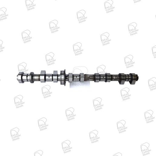 Kiwi Camshaft 50080158