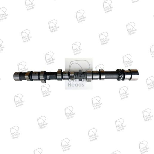 Kiwi Camshaft 50080168