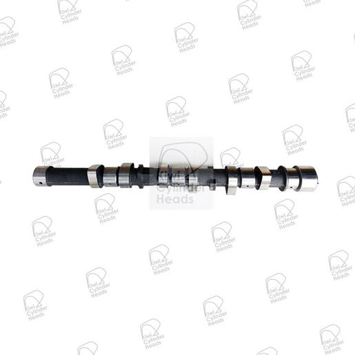 Kiwi Camshaft 50080169