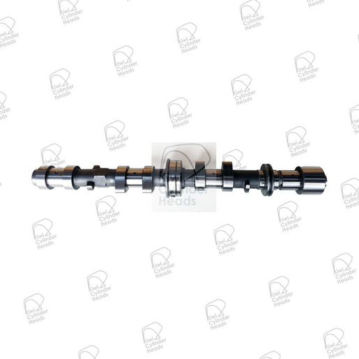 Kiwi Camshaft 50080170