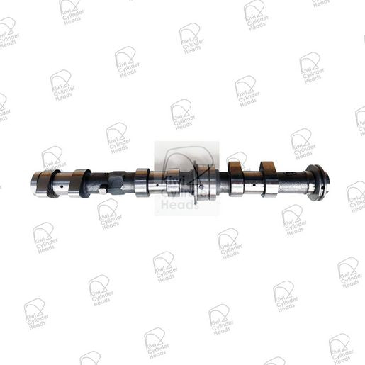 Kiwi Camshaft 50080171
