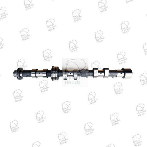 Kiwi Camshaft 50080181