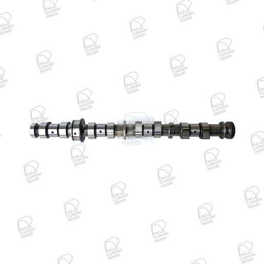 Kiwi Camshaft 50080337