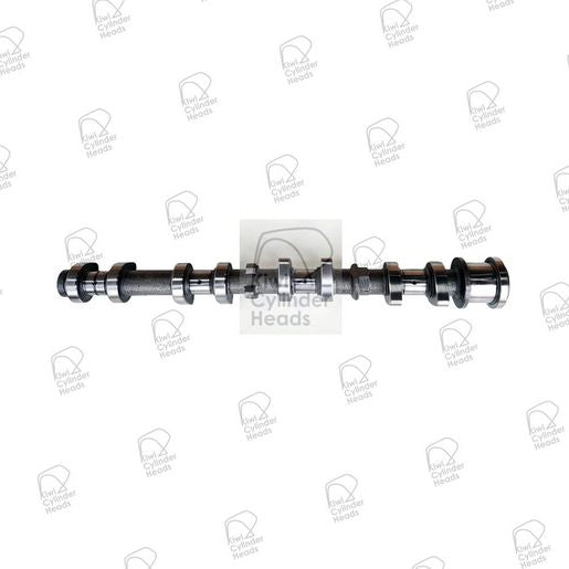 Kiwi Camshaft Exhaust 50080340