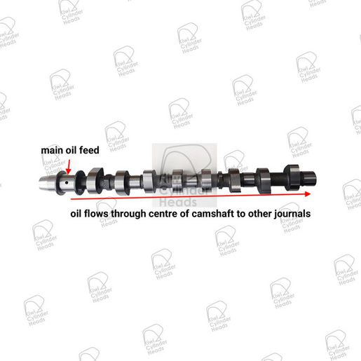 Kiwi Camshaft 50083005