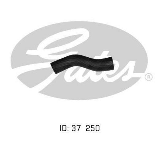 Gates Radiator Hose 05-0192