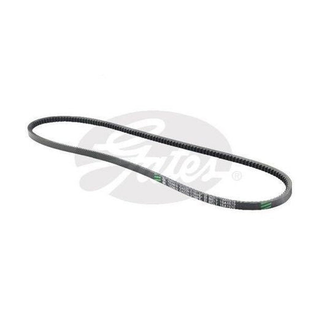 Gates Truck V-Belt 15A1570 TR20619