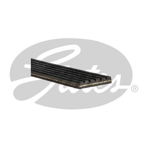 Gates Micro-V Multi Ribbed Racing Performance Muscle Drive Belt 6PK985RPM