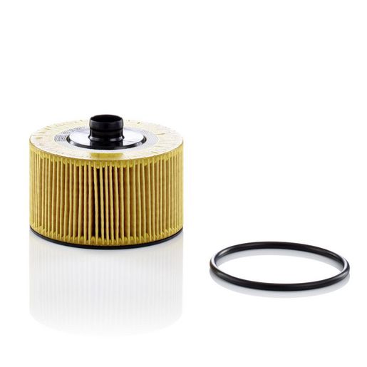 MANN Oil Filter HU 10 002 Z
