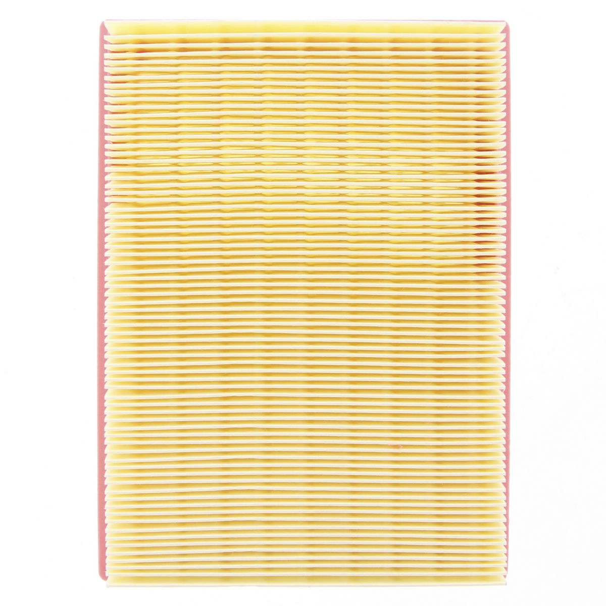 Proselect Air Filter PSA61
