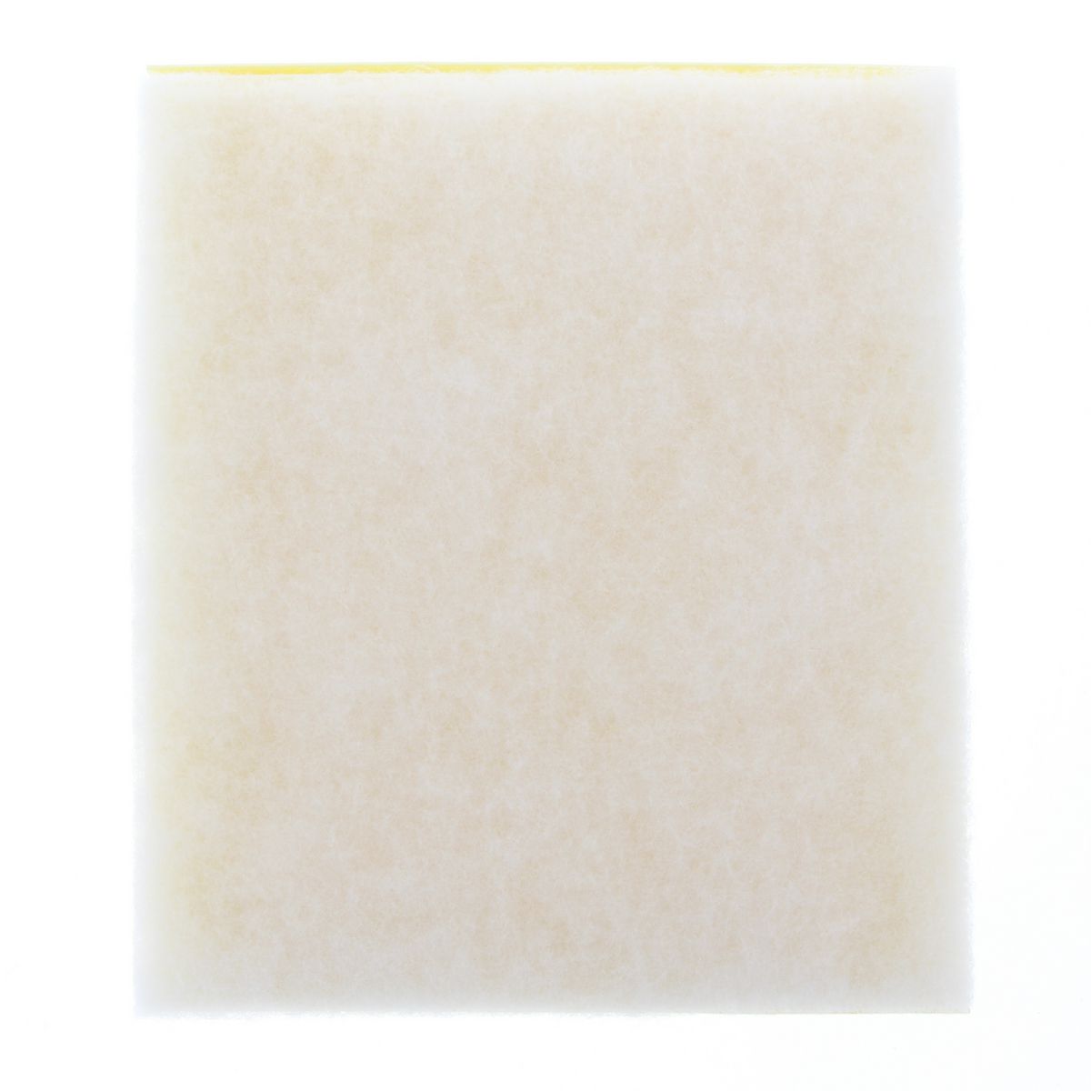 Proselect Air Filter PSA361
