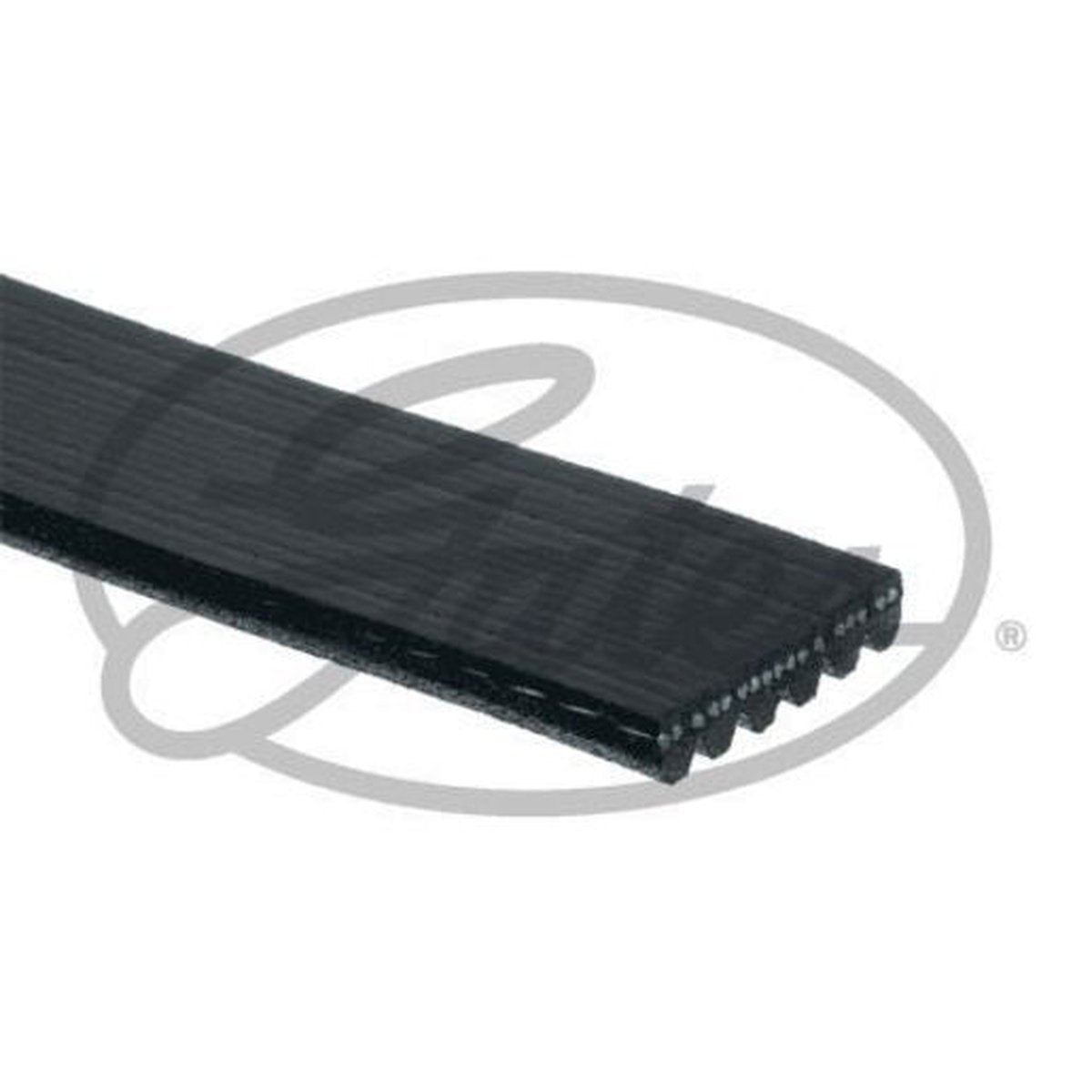Gates Polyester Micro-V Belt 6PK1550XS
