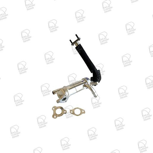 Kiwi Egr Cooler Genuine Incl Gasket 63024480