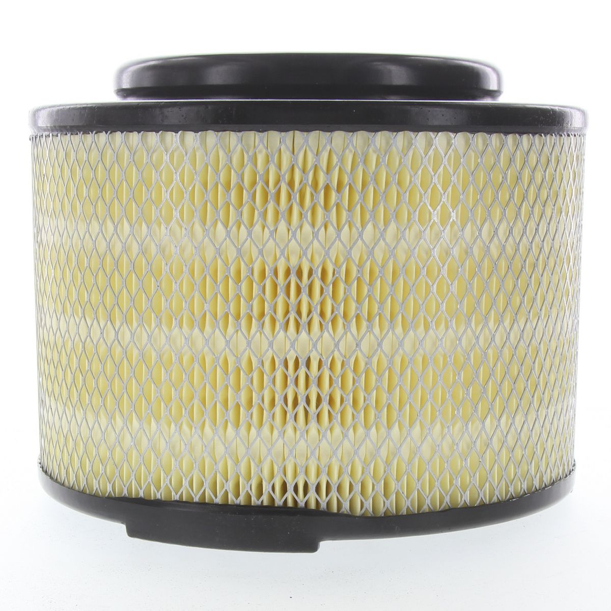 Proselect Air Filter PSA541