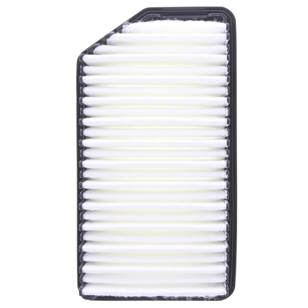 Proselect Air Filter PSA633