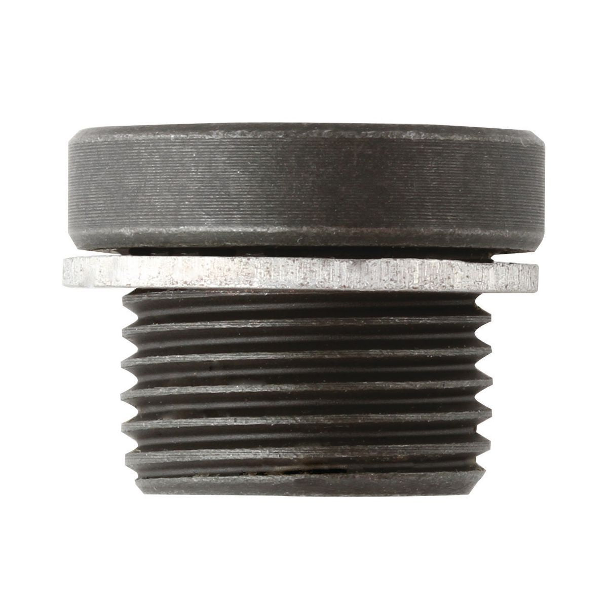 Tridon Sump/Drain Plug -  3/4In X T16 TDP019