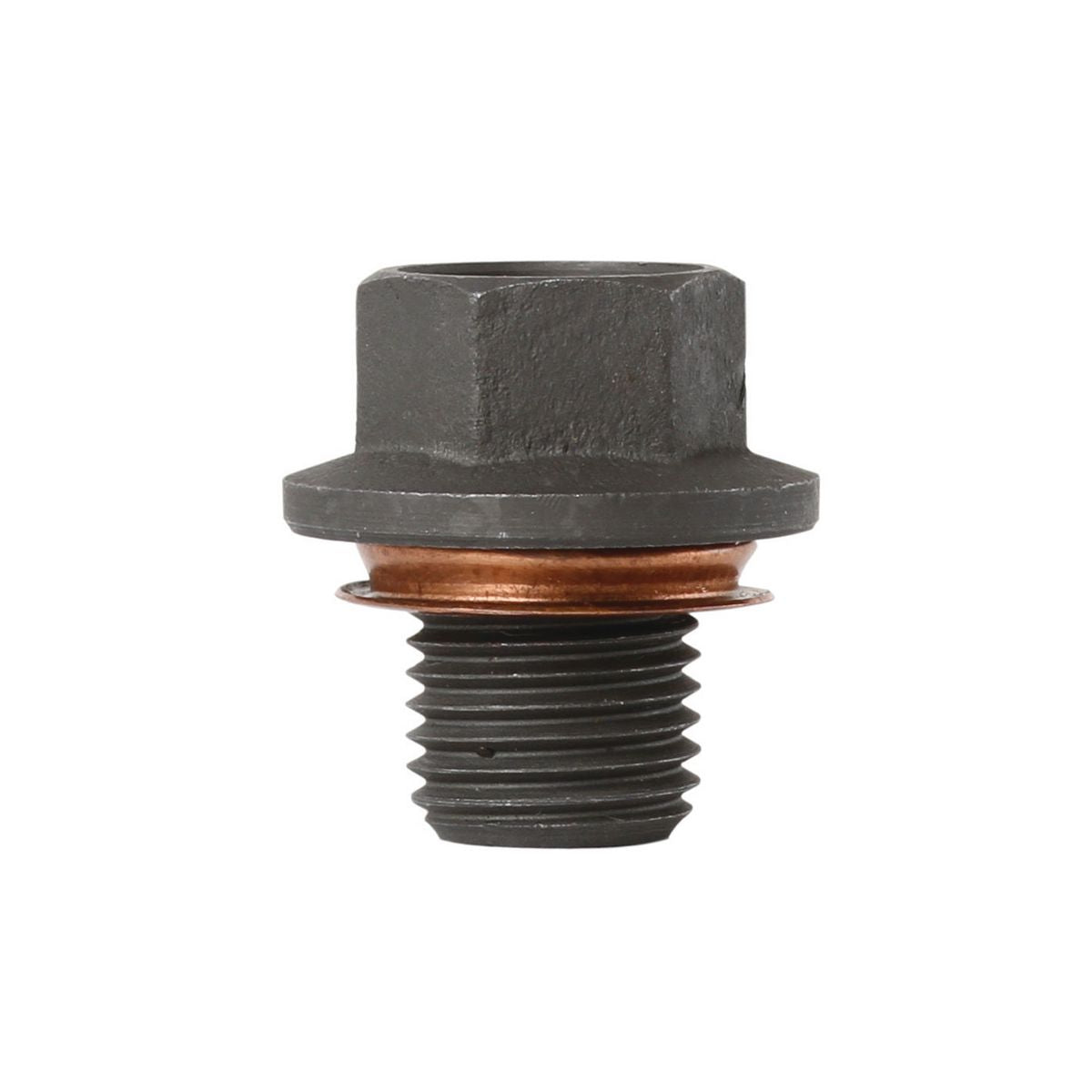 Tridon  Sump/Drain Plug 5 Pack - M12 X 1.25Mm  - Tdp010P TDP010P
