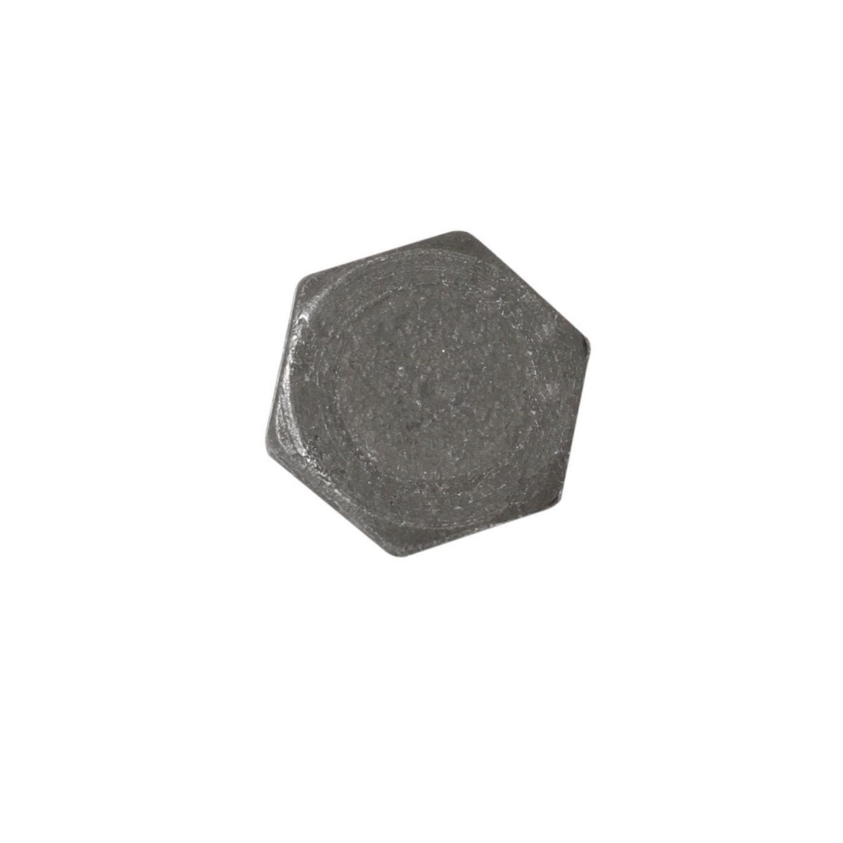 Tridon  Sump/Drain Plug 5 Pack - M10 X 1.25Mm  - Tdp017P TDP017P