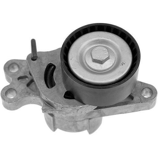 INA Alt Belt Tensioner 534 0179 10