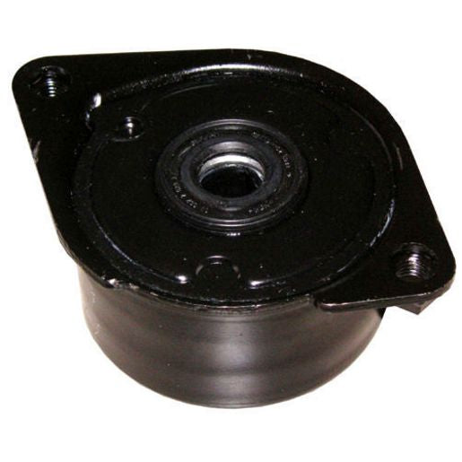 INA Tensioner Ribbed Drive Belt 534 0171 10