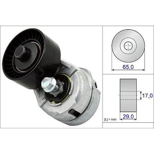INA Tensioner Pulley Ribbed Belt 534 0109 20