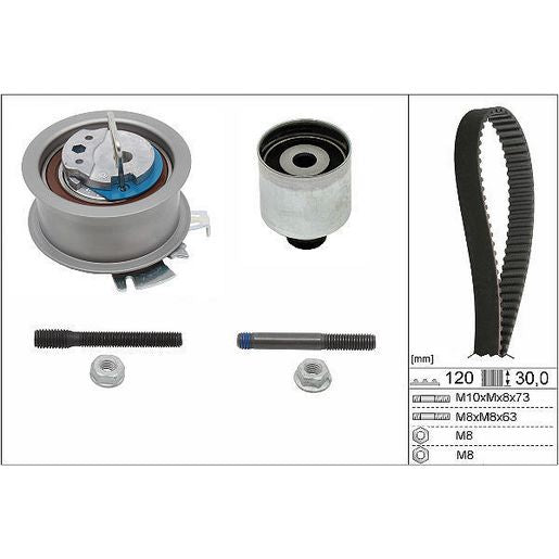 INA Cambelt Kit 530 0201 10