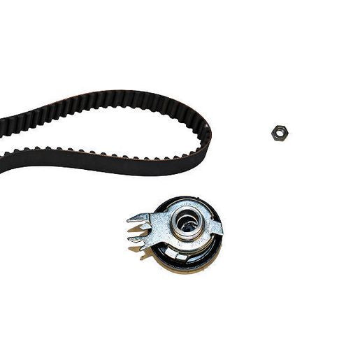 INA Timing Belt Kit 530 0167 10