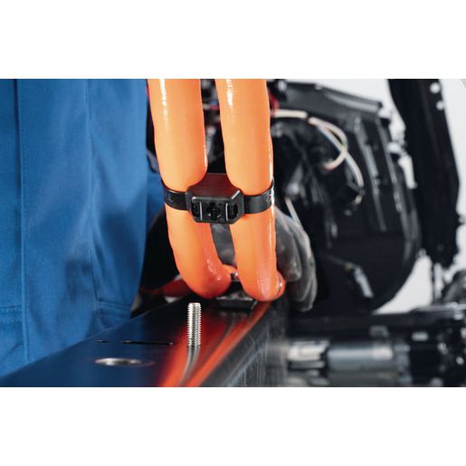 HellermannTyton 1-Piece Fixing,Dual Clamp Tie 330 X 12.7 M6 Pack 50 DCT9